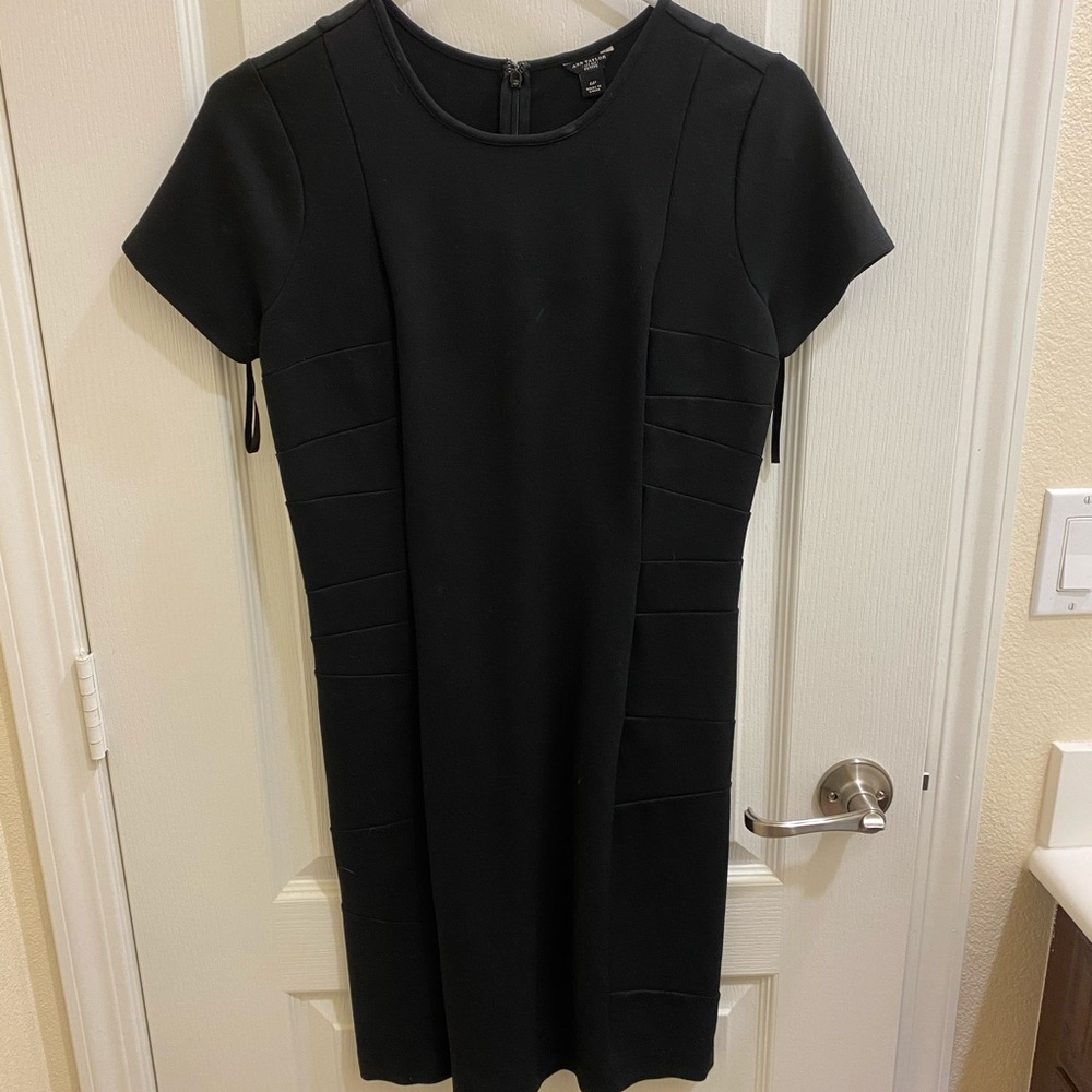 Ann Taylor Fitted Dress